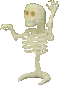 bones.gif (2684 bytes)
