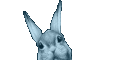 Severed bunny head